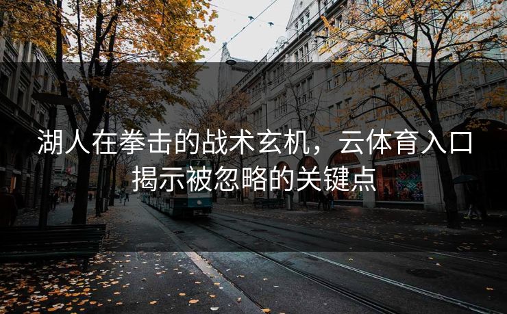 湖人在拳击的战术玄机，云体育入口揭示被忽略的关键点