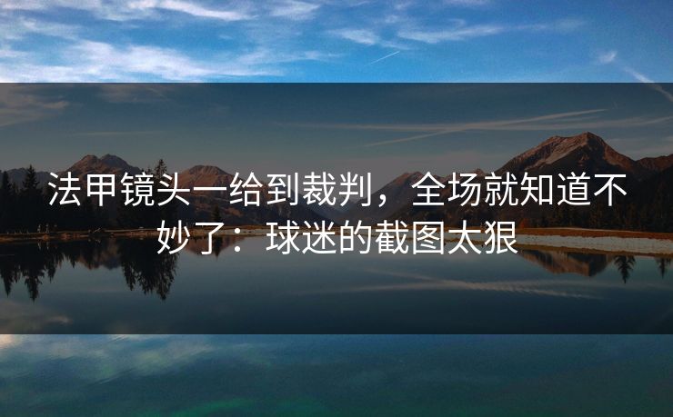 法甲镜头一给到裁判，全场就知道不妙了：球迷的截图太狠
