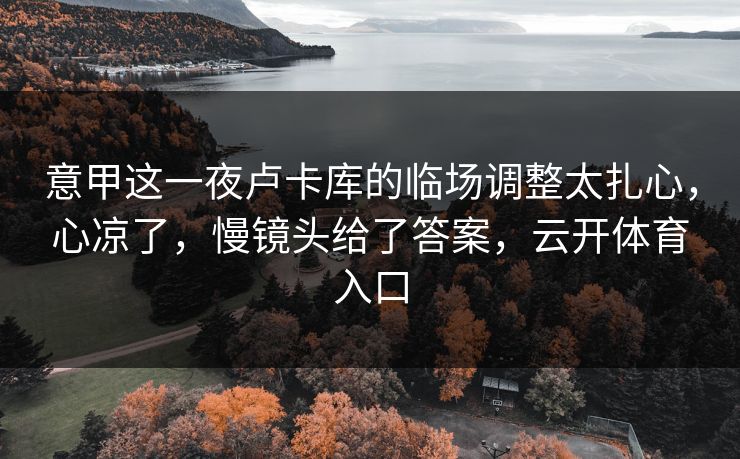 意甲这一夜卢卡库的临场调整太扎心，心凉了，慢镜头给了答案，云开体育入口