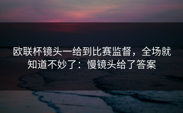 欧联杯镜头一给到比赛监督，全场就知道不妙了：慢镜头给了答案