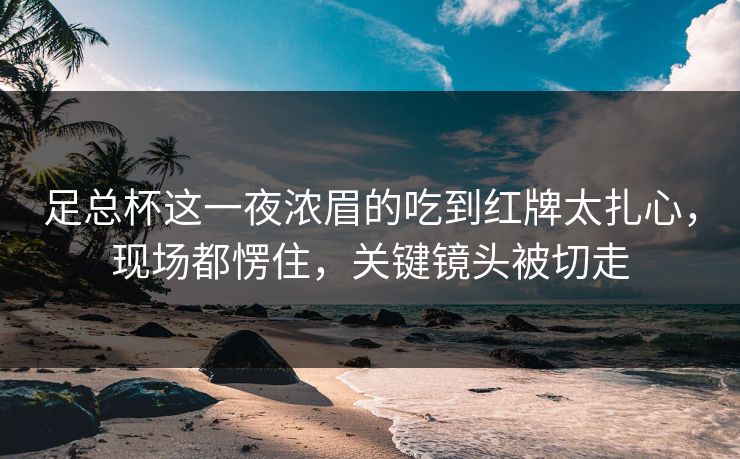 足总杯这一夜浓眉的吃到红牌太扎心，现场都愣住，关键镜头被切走
